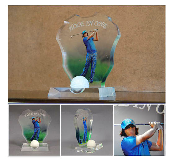 金箔鳳凰付きアクリル楯