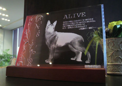 セミオーダー楯（LED仕様）